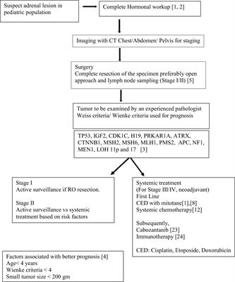 Pediatric adrenocortical carcinoma